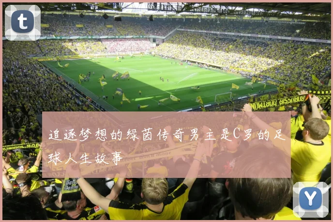 追逐梦想的绿茵传奇男主是C罗的足球人生故事