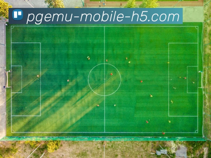 App Interface Preview